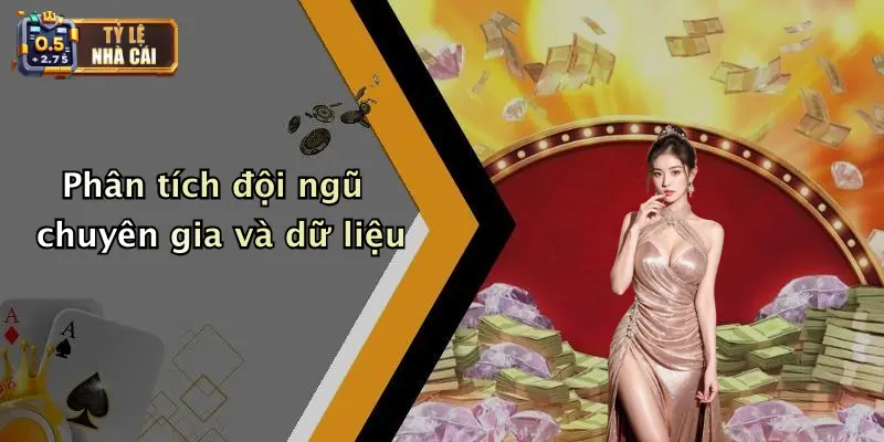 Phân tích đội ngũ chuyên gia và dữ liệu