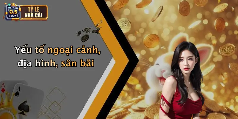 Yếu tố ngoại cảnh, địa hình, sân bãi