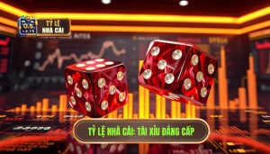 Tài Xỉu Theo Phong Độ: Bí Quyết Soi Kèo Thắng Lớn Từ Chuyên Gia