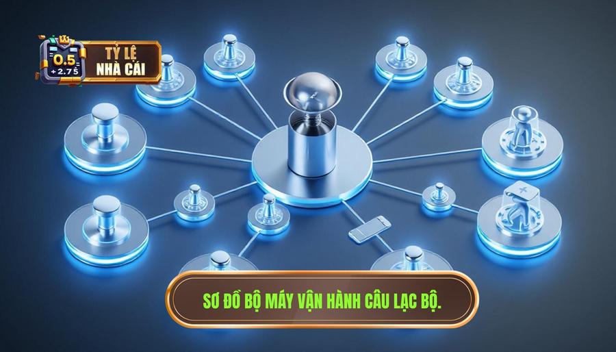 Cấu trúc bộ máy vận hành của một câu lạc bộ bóng đá hiện đại