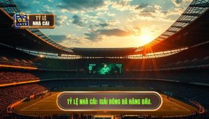 giải bóng đá hàng đầu
